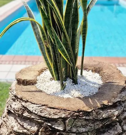 Villa El Pastizal De Gijon Con Finca, Bbq, Fkk Y Piscina Privada - Vv-2608-as La Pedrera
